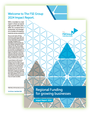 The FSE Group Impact Report