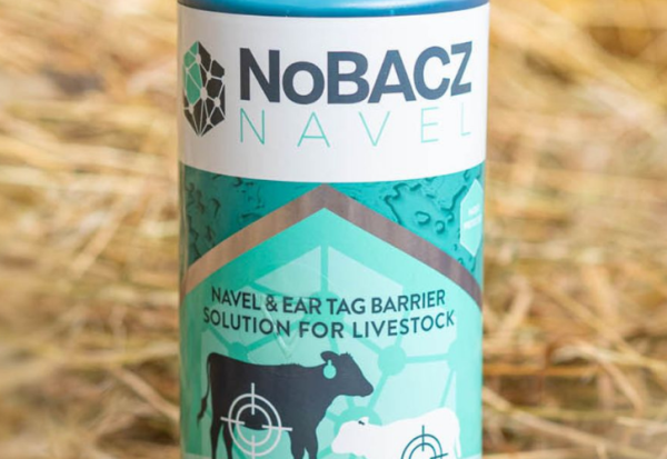 NoBACZ Healthcare raises £4.8m