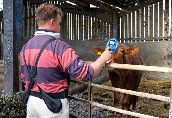 iLivestock gets £750k Funding Boost